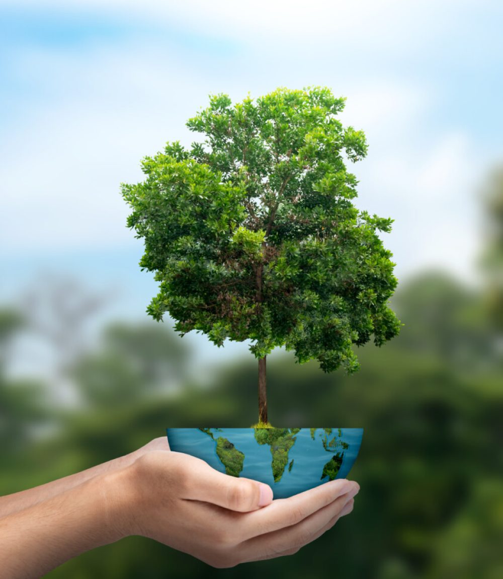 A human hand holding a globe with a growing plant on a blue sky background. Earth day concept